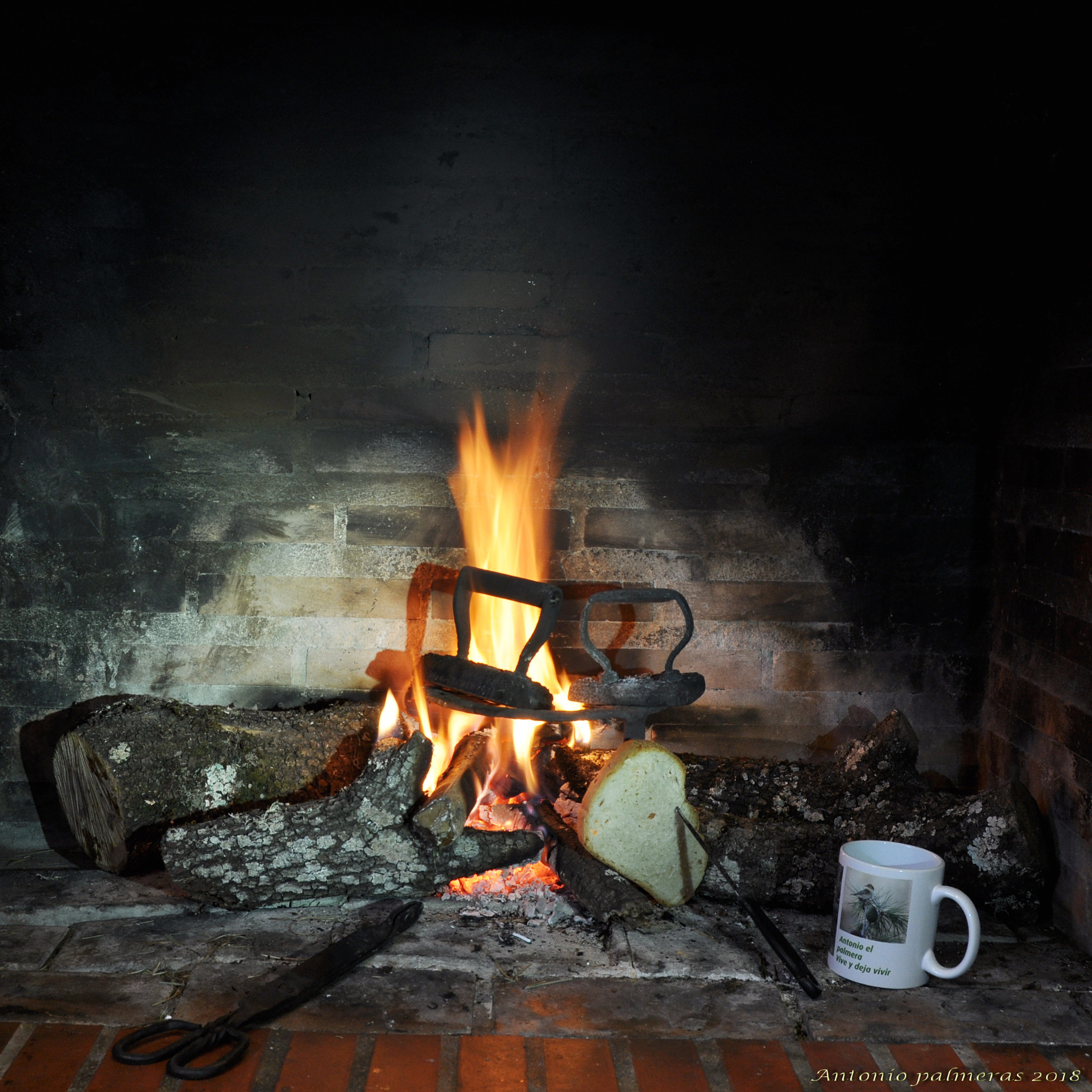 Nikon D90 sample photo. Desayuno y plancho photography