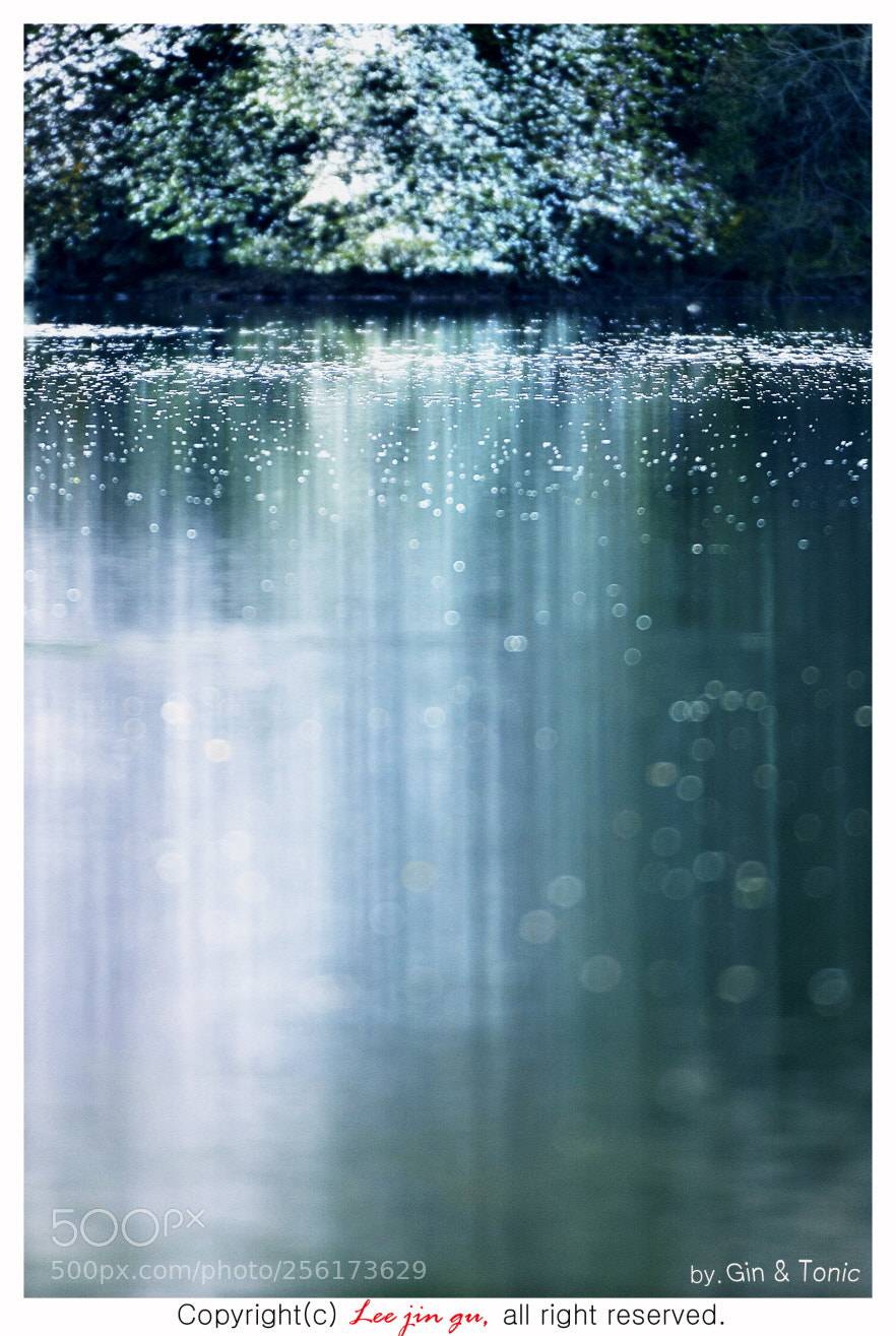 Nikon D4 sample photo. Reflection photography