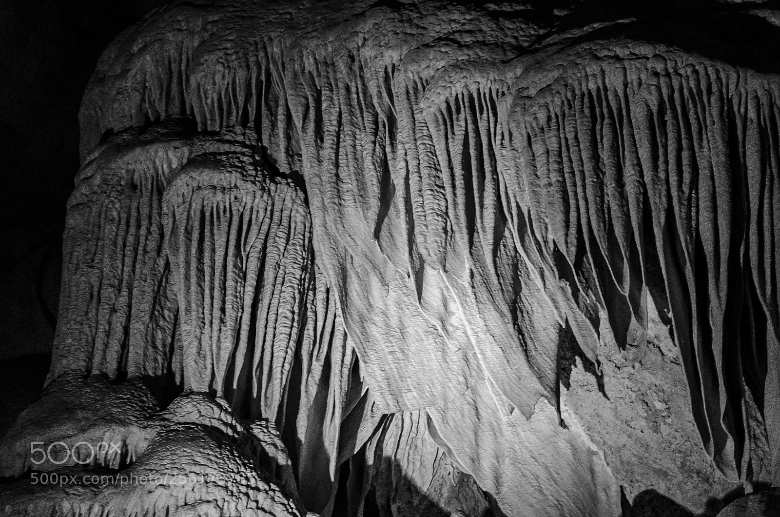 Nikon D5100 sample photo. Whales mouth photography