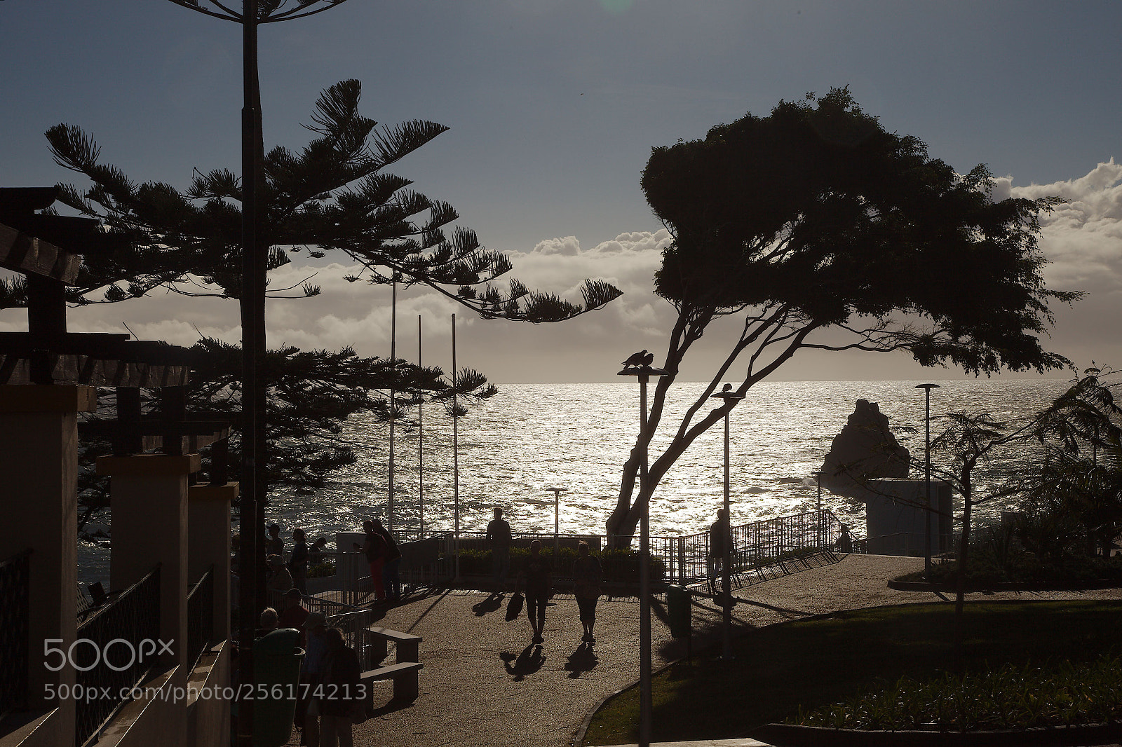 Canon EOS 5D Mark II sample photo. Sparkling ocean photography