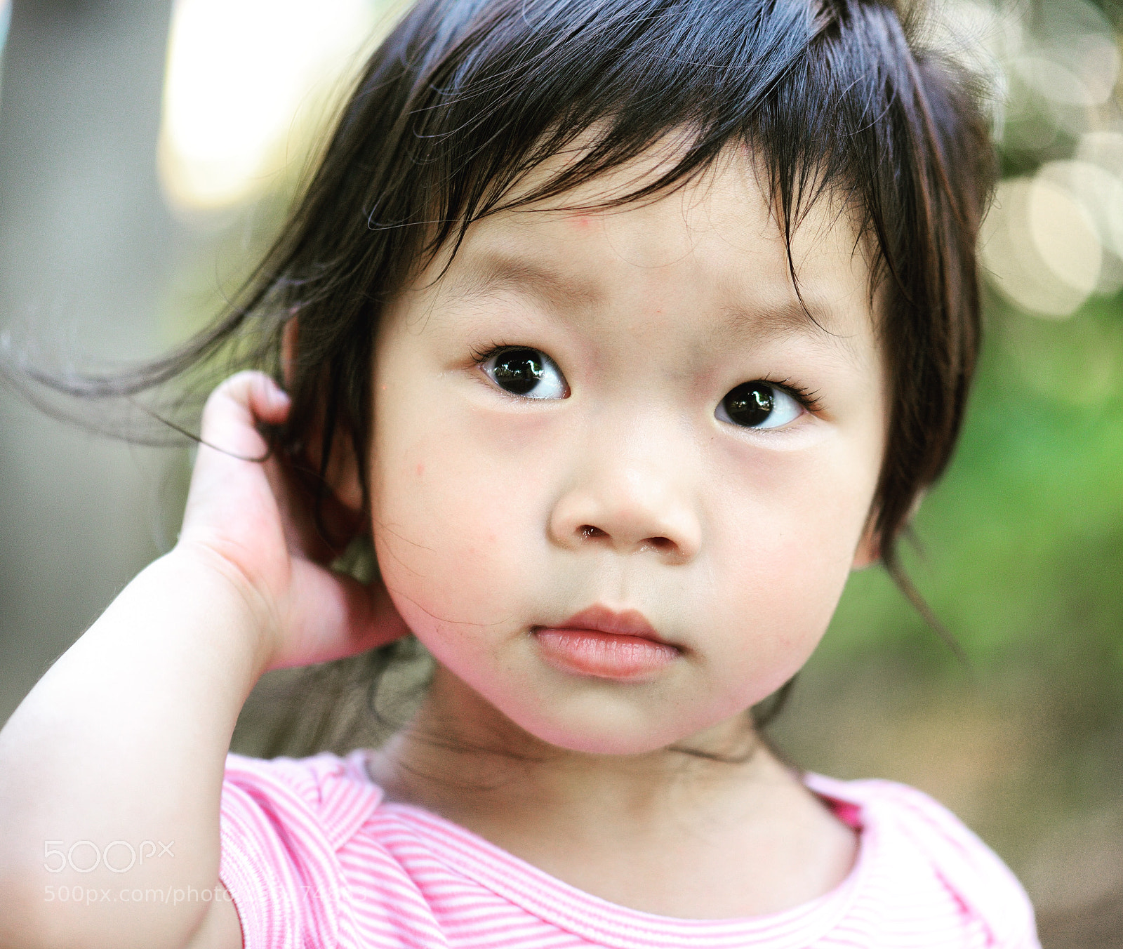 Nikon D800 sample photo. Untitled photography