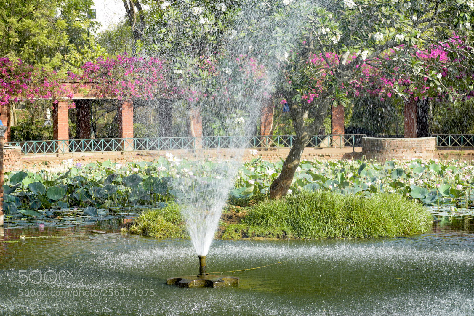 Nikon D5300 sample photo. Fountain in the park photography