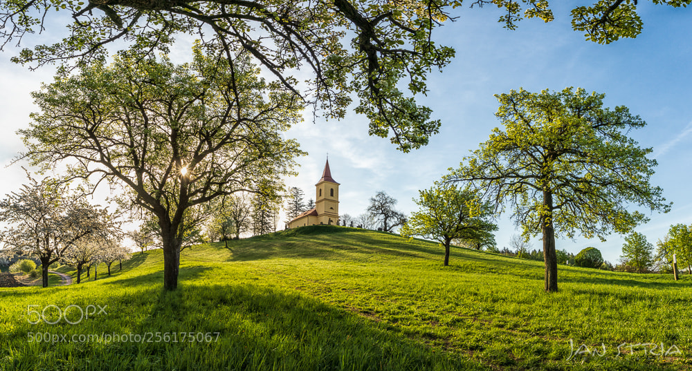 Canon EOS 80D sample photo. Spring morning photography