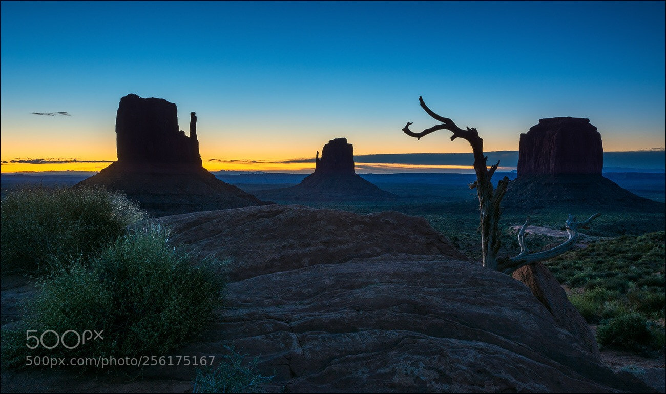 Nikon D7100 sample photo. °°° blue hour °°° photography