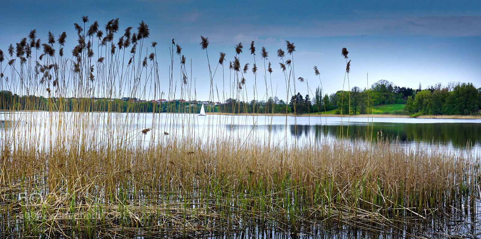 Sony a6000 sample photo. Kortowo lake photography