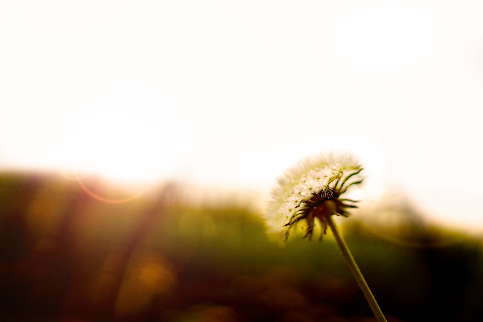 ZEISS Batis 25mm F2 sample photo. 2018_05_01 photography