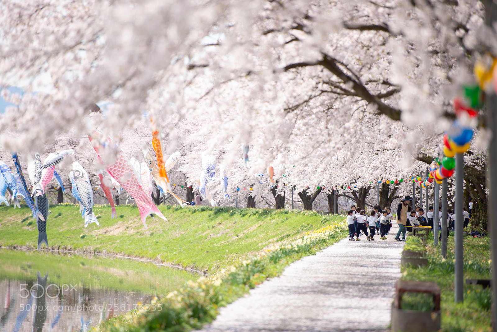 Nikon D600 sample photo. Springtime photography