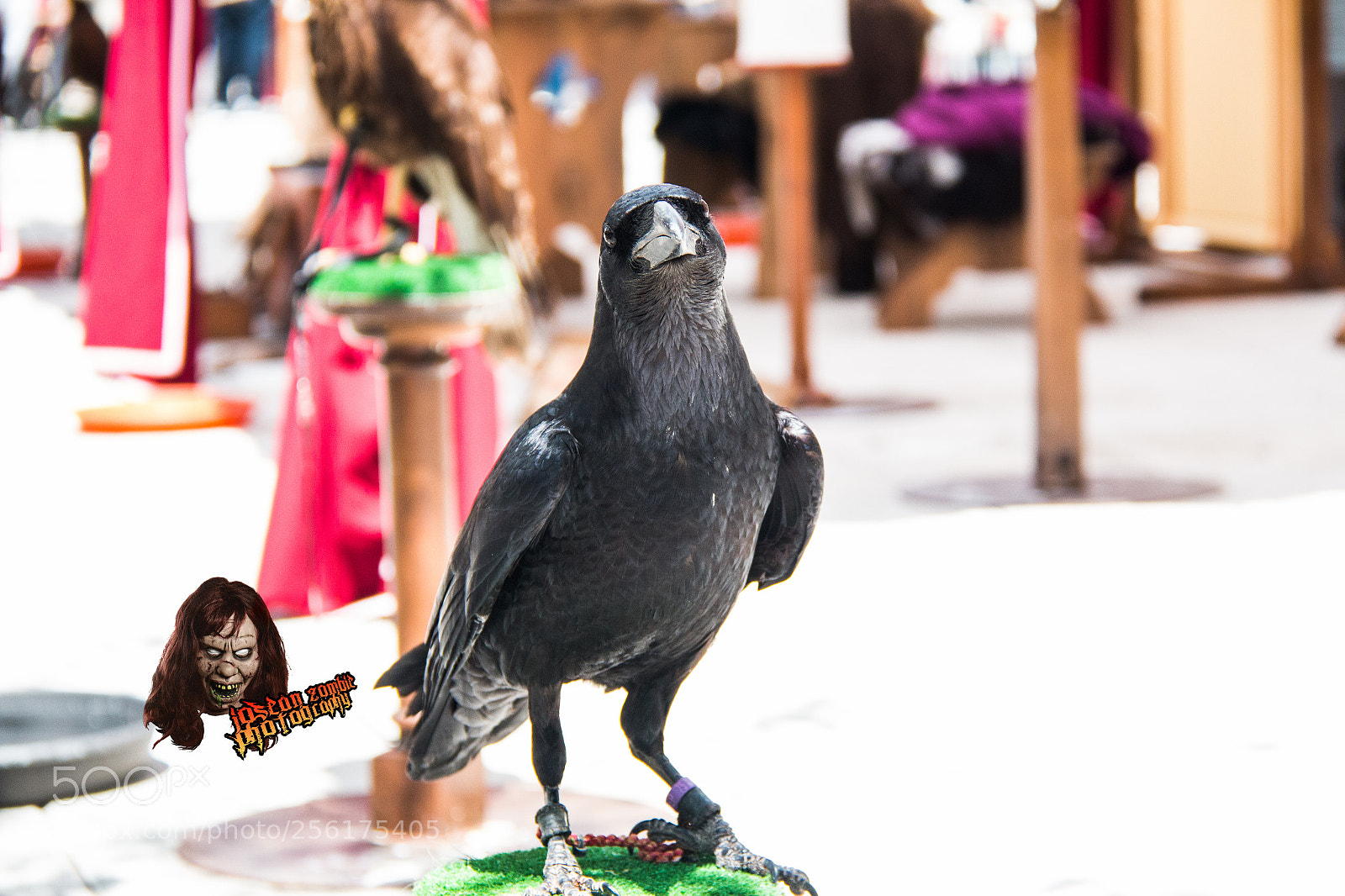 Canon EOS 70D sample photo. Josean zombie photo photography