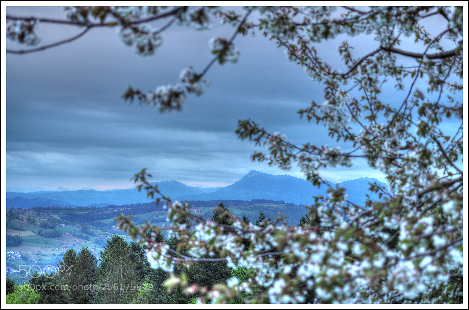Olympus OM-D E-M1 Mark II sample photo. Die rigi im hintergrund photography