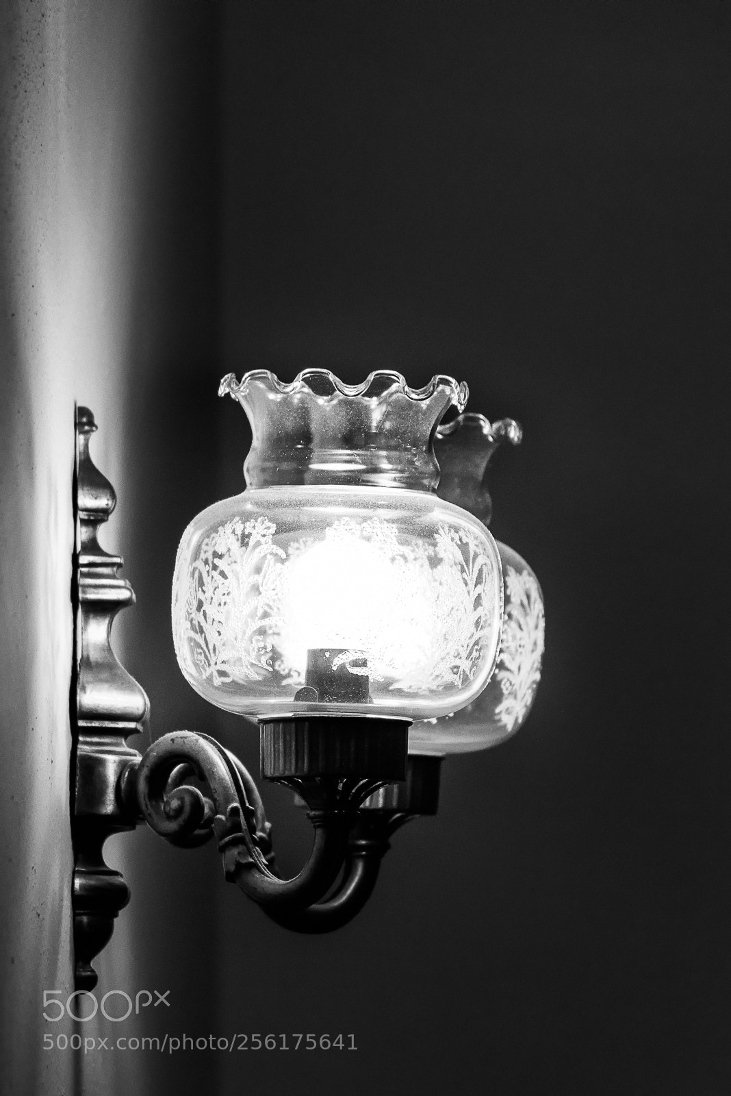 Nikon D810 sample photo. Lamps photography