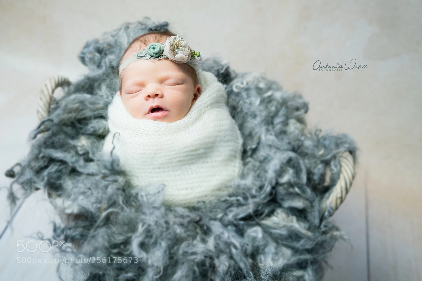 Sony a7R II sample photo. Newborn photography