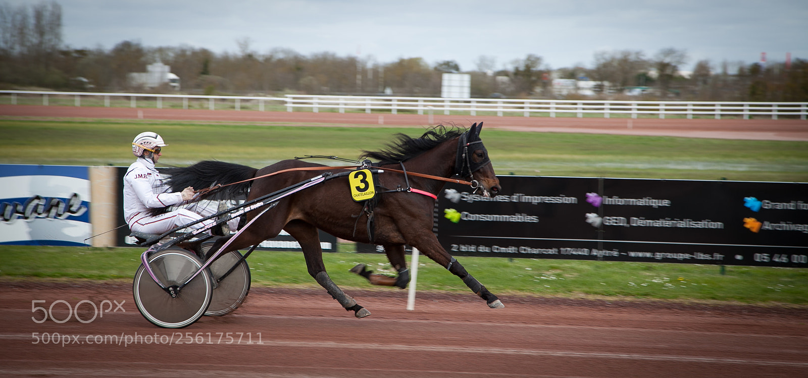 Canon EOS 5D Mark II sample photo. Trotting in france photography