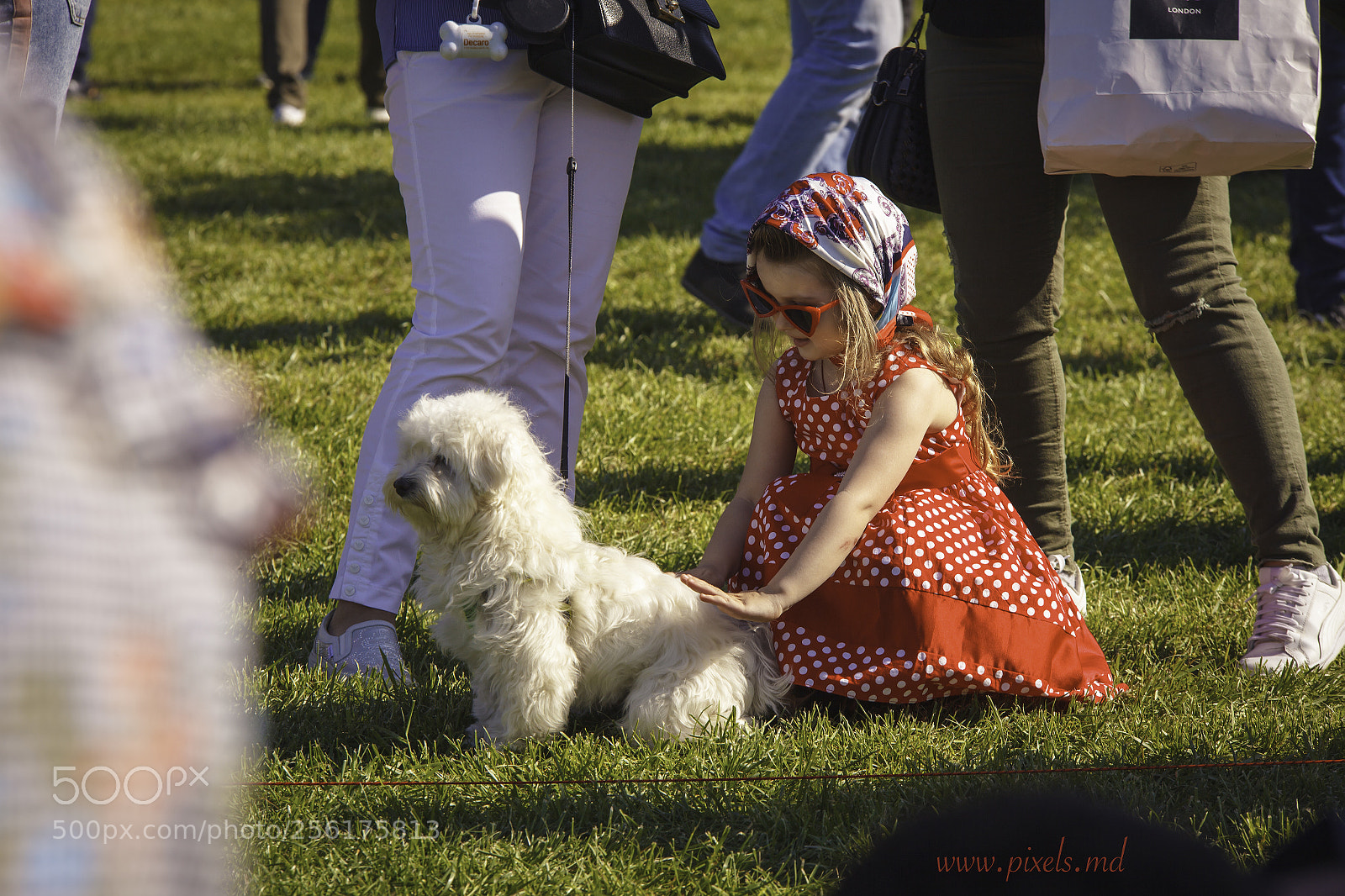 Canon EOS 5D Mark II sample photo. Let's play )) photography