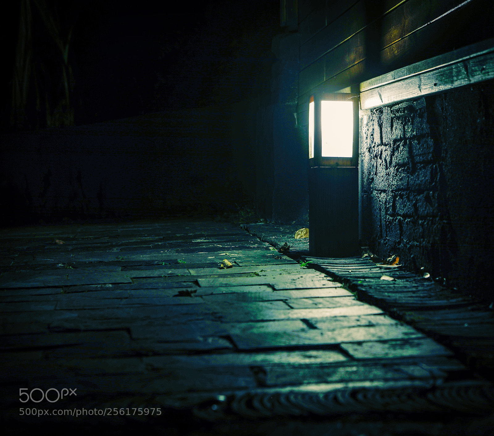 Canon EOS 5D Mark IV sample photo. Untitled photography