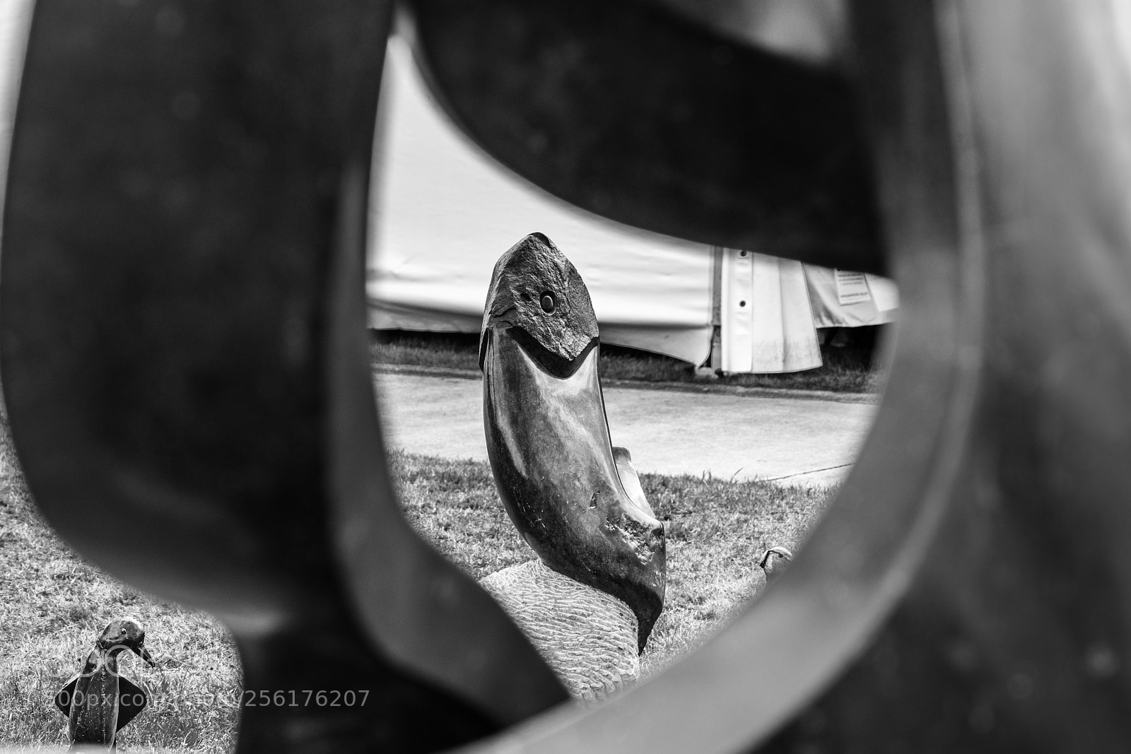 Sony a7R II sample photo. Phallic fish photography