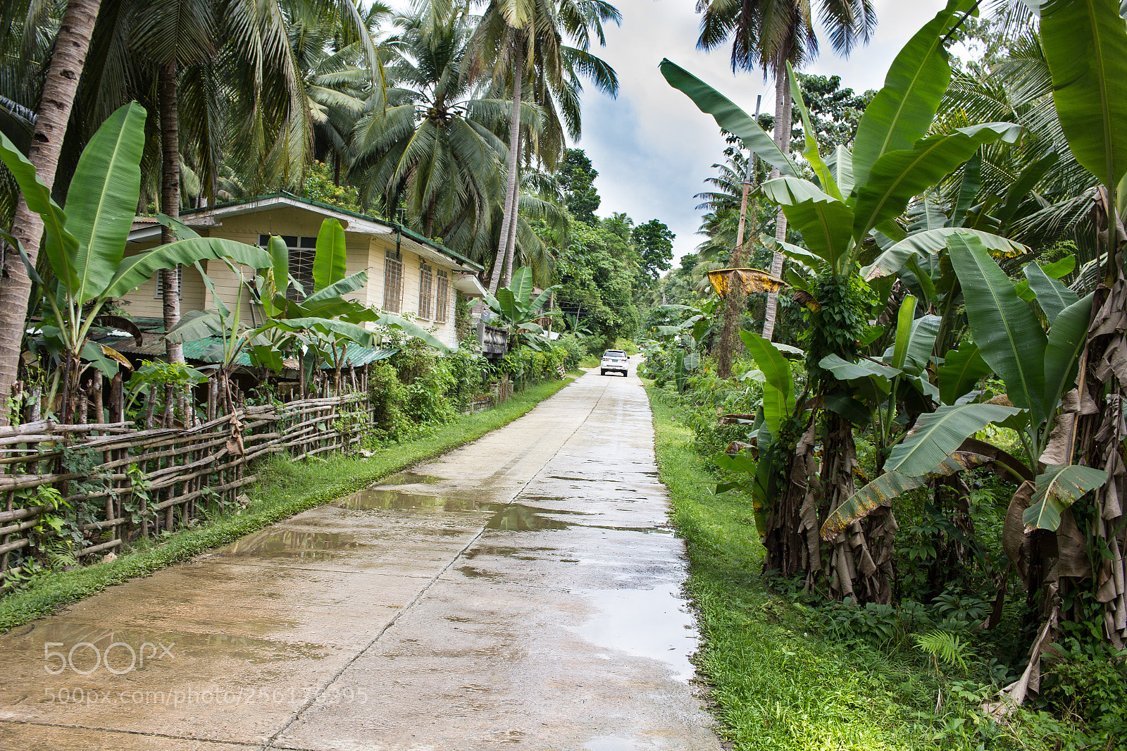 Canon EOS 550D (EOS Rebel T2i / EOS Kiss X4) sample photo. Bohol photography