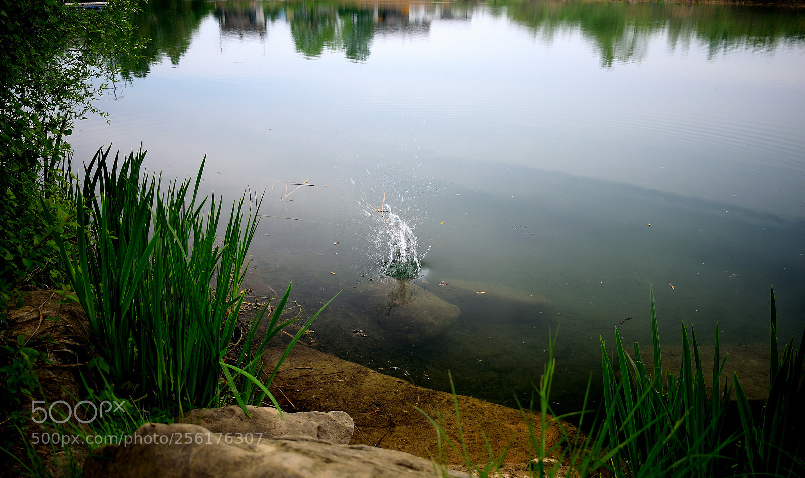 Nikon D3300 sample photo. Wasser photography