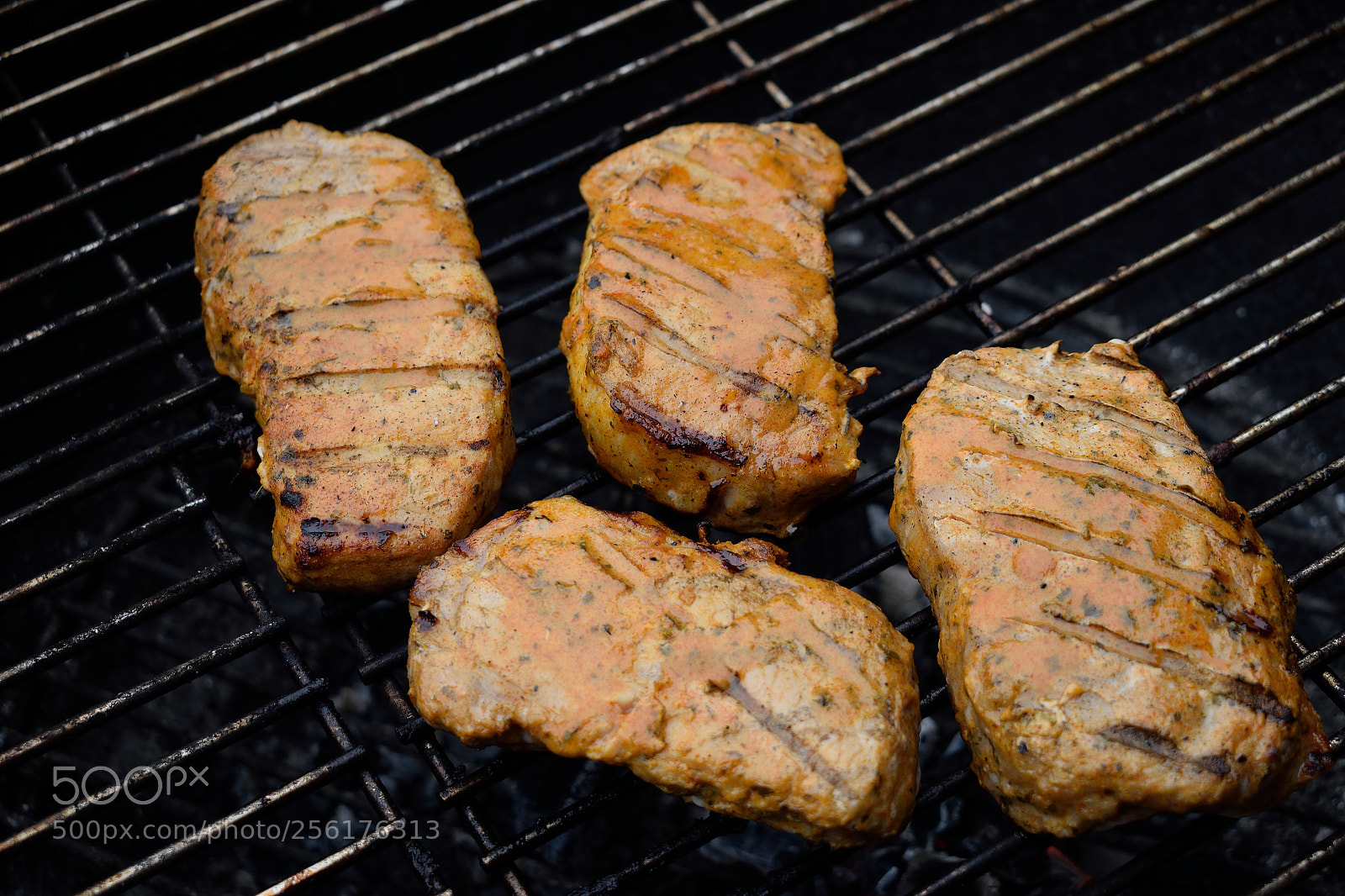 Nikon D3300 sample photo. Grill photography