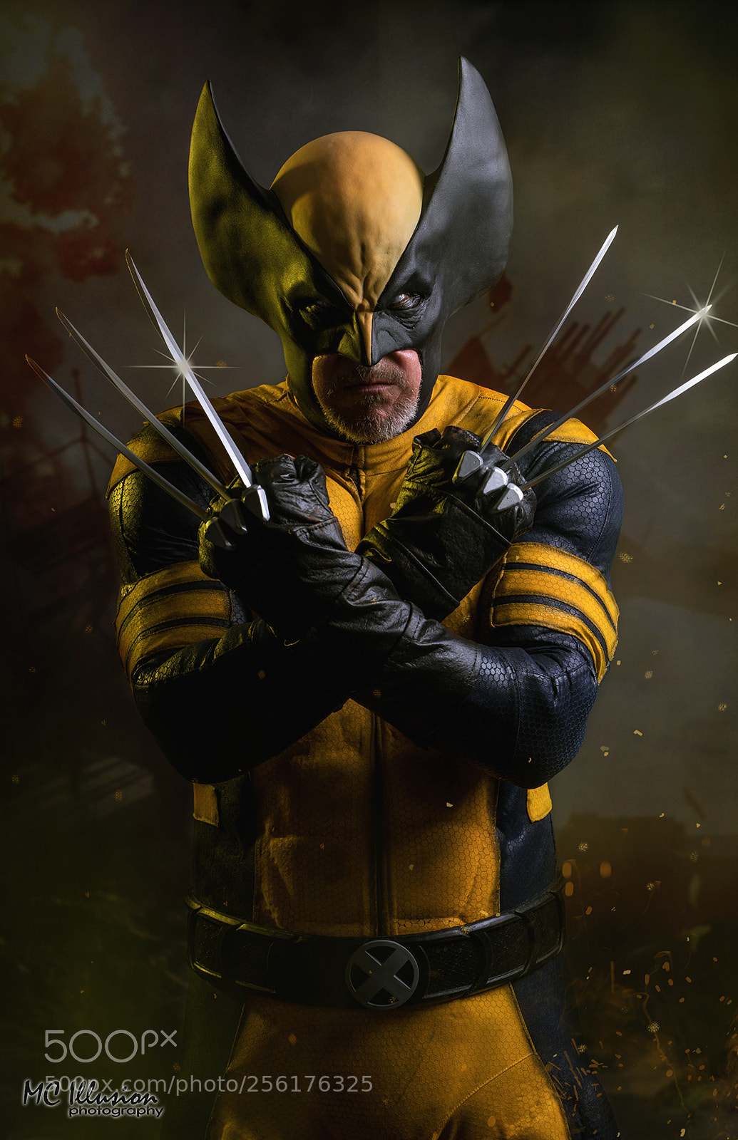 Sony a9 sample photo. Wolverine photography