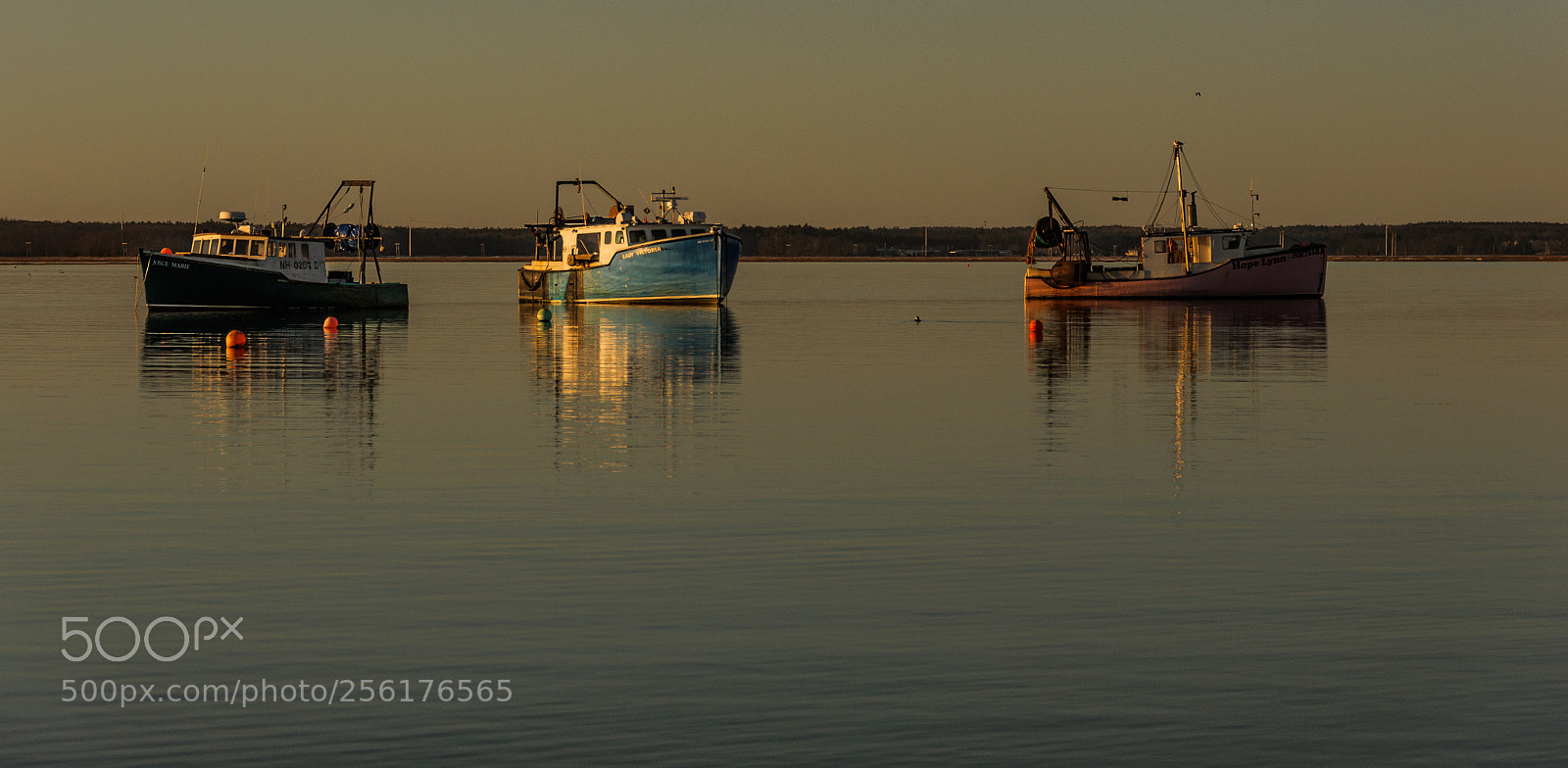 Nikon D90 sample photo. Moored, early morning photography