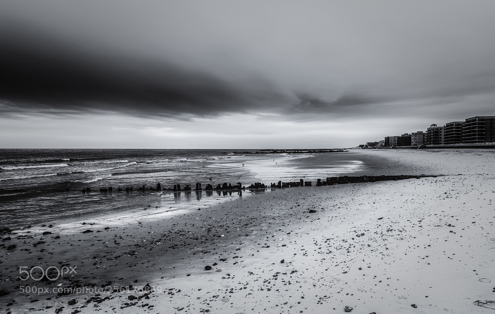 Nikon D850 sample photo. Grey skies photography