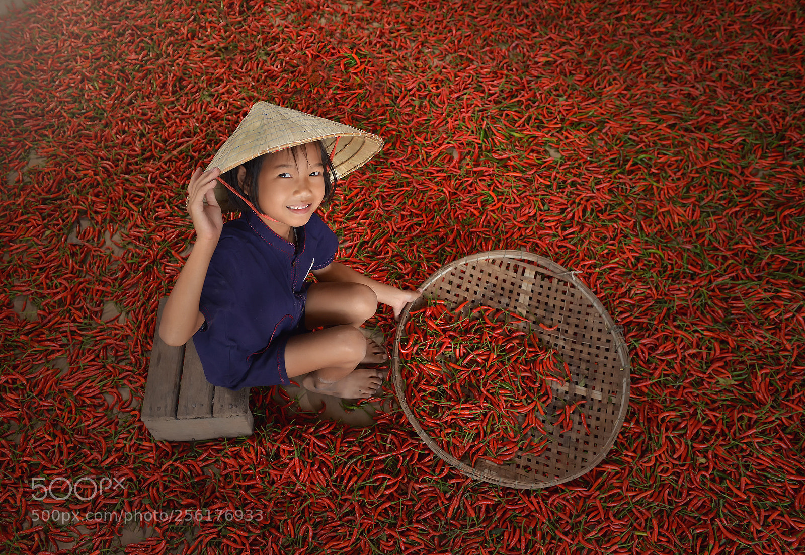 Nikon D800E sample photo. Cute photography