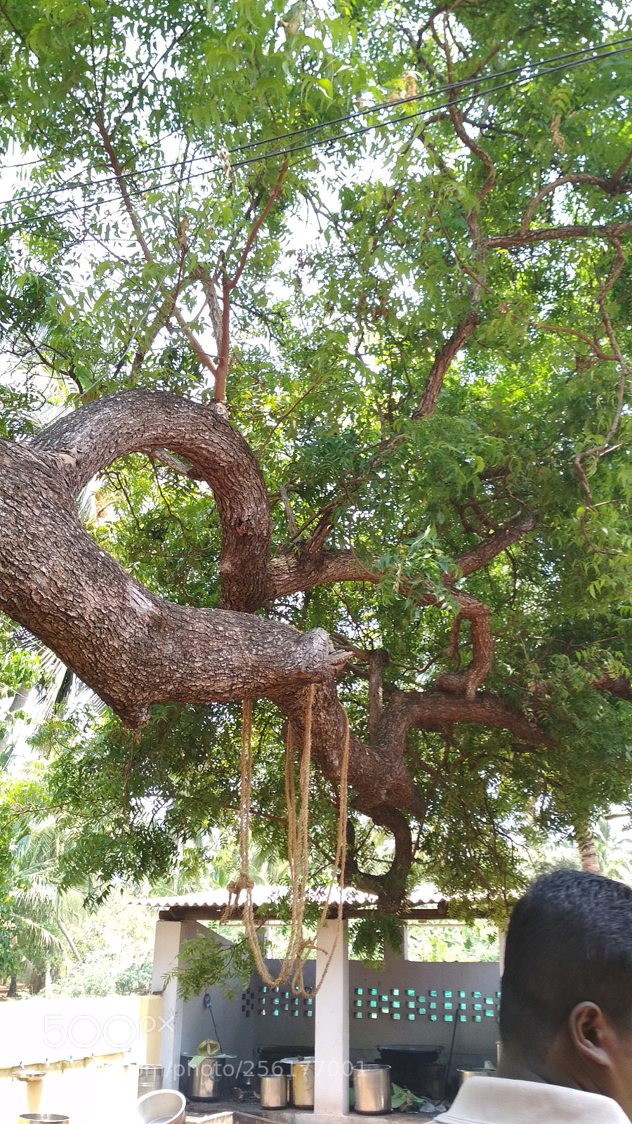 Xiaomi Redmi 4 Pro sample photo. Untitled photography