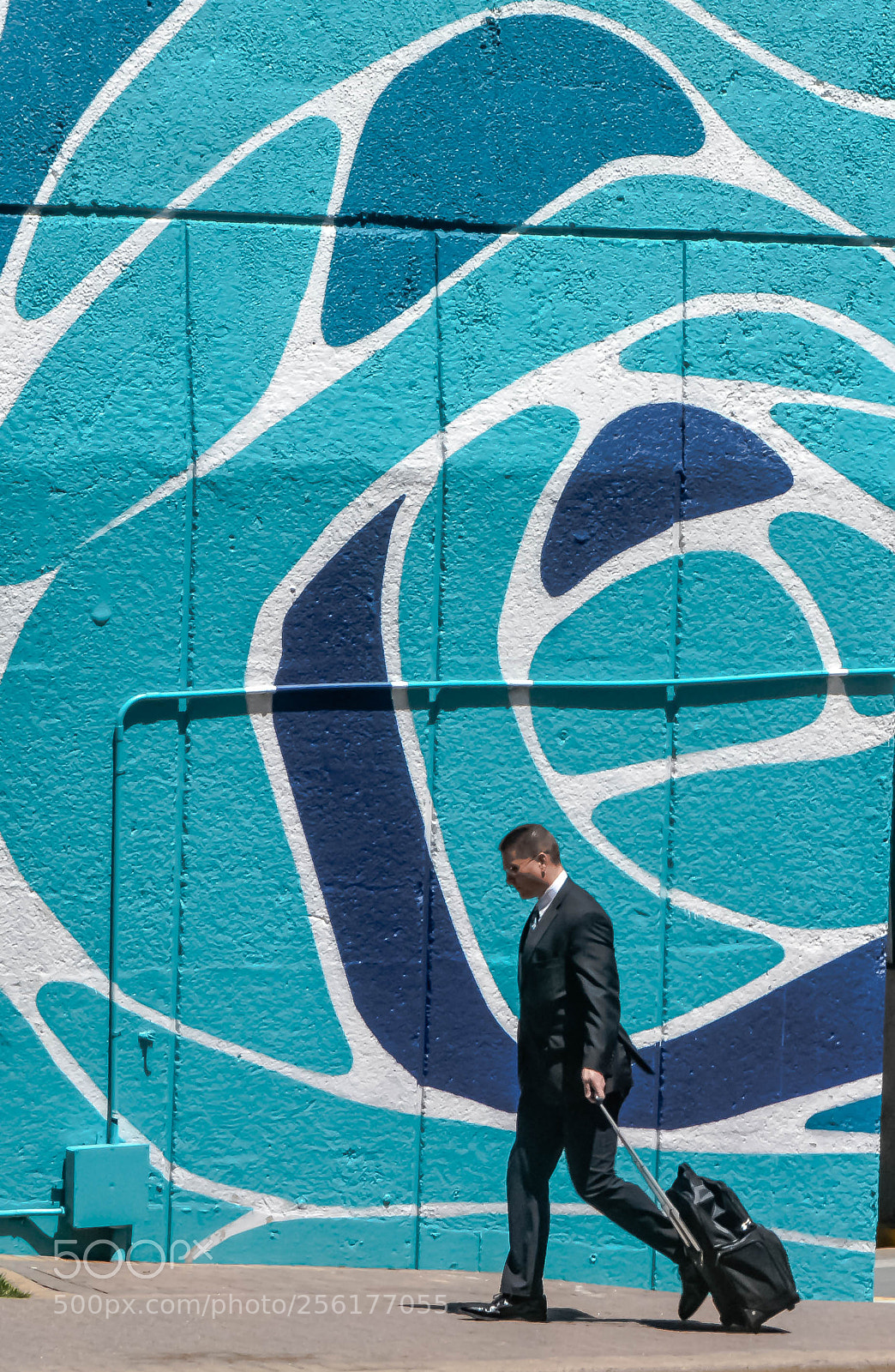 Nikon D5200 sample photo. Wall art photography