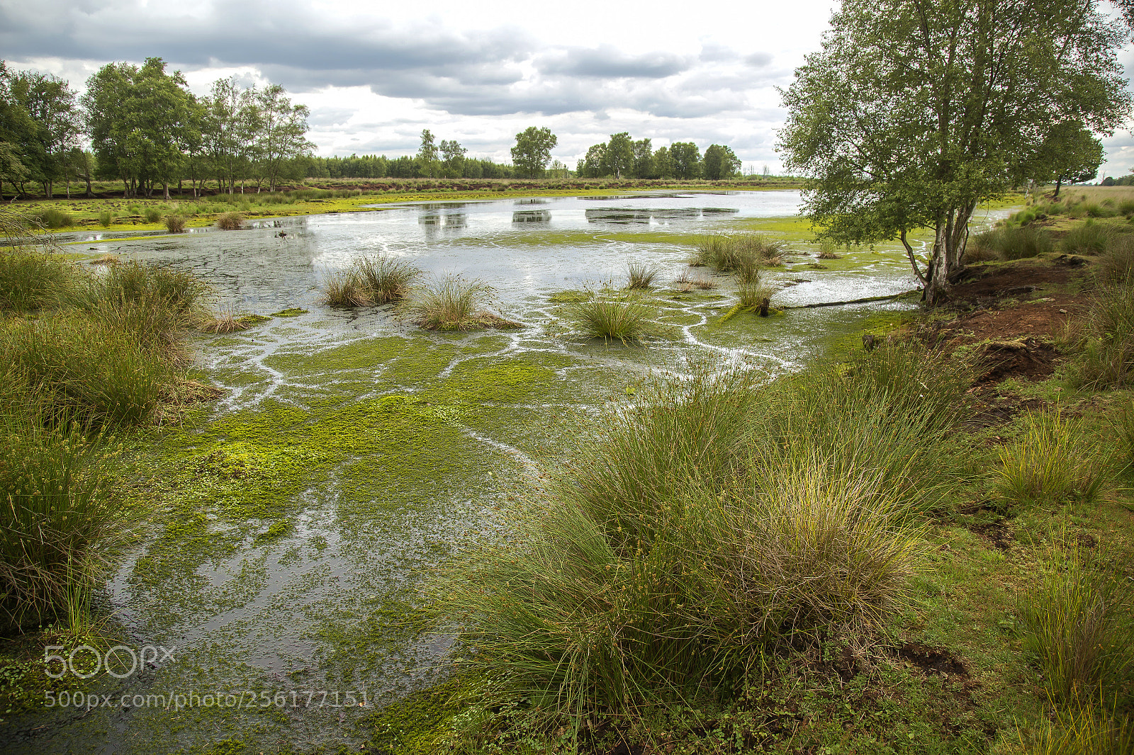 Canon EOS 6D sample photo. "the moor" photography