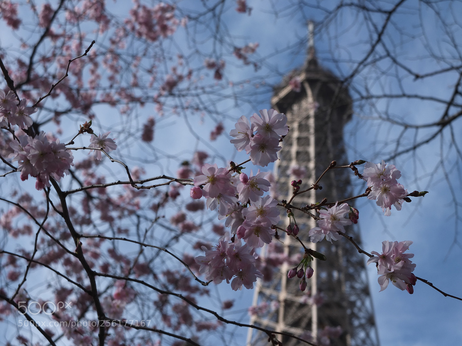 Fujifilm X10 sample photo. Eiffel tower photography