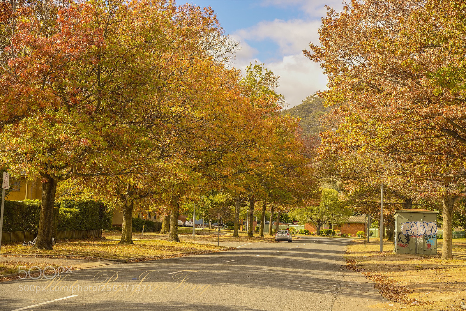 Nikon D800 sample photo. Untitled photography