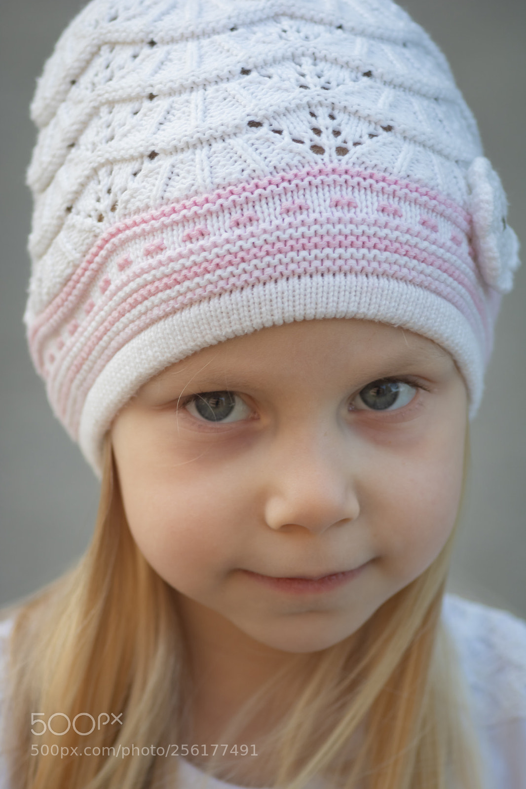 Canon EOS 750D (EOS Rebel T6i / EOS Kiss X8i) sample photo. Close up photography