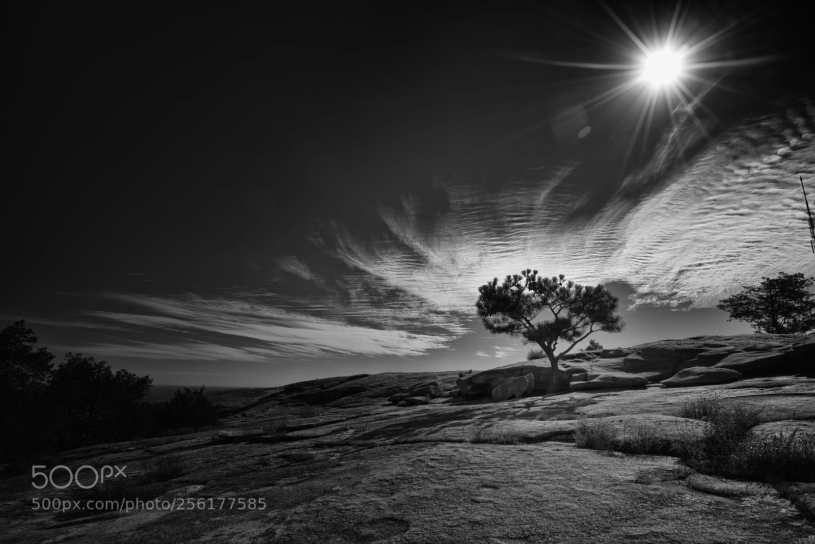 Sony a7R sample photo. Stone mountain photography