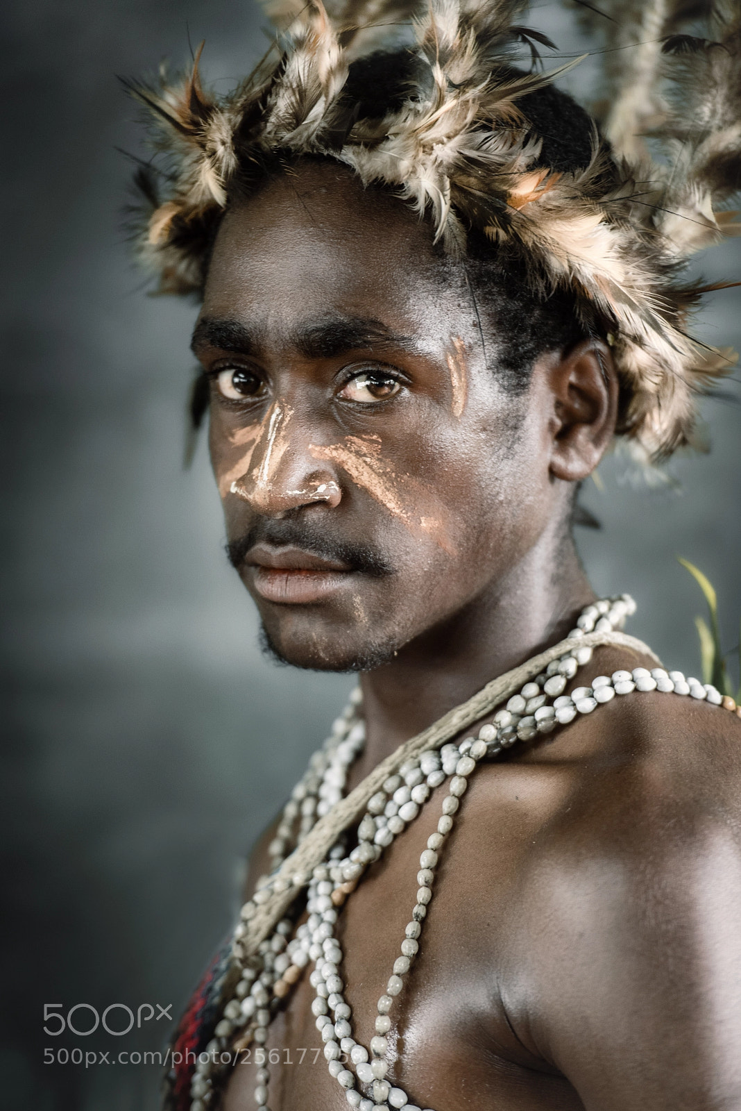 Nikon D750 sample photo. Young papuan man photography