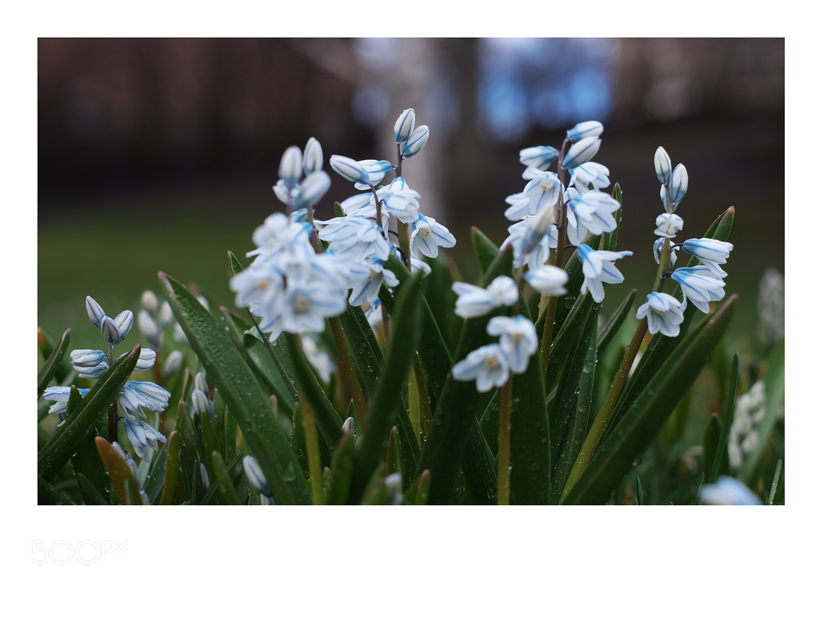 Fujifilm X-T1 sample photo. Dscf photography