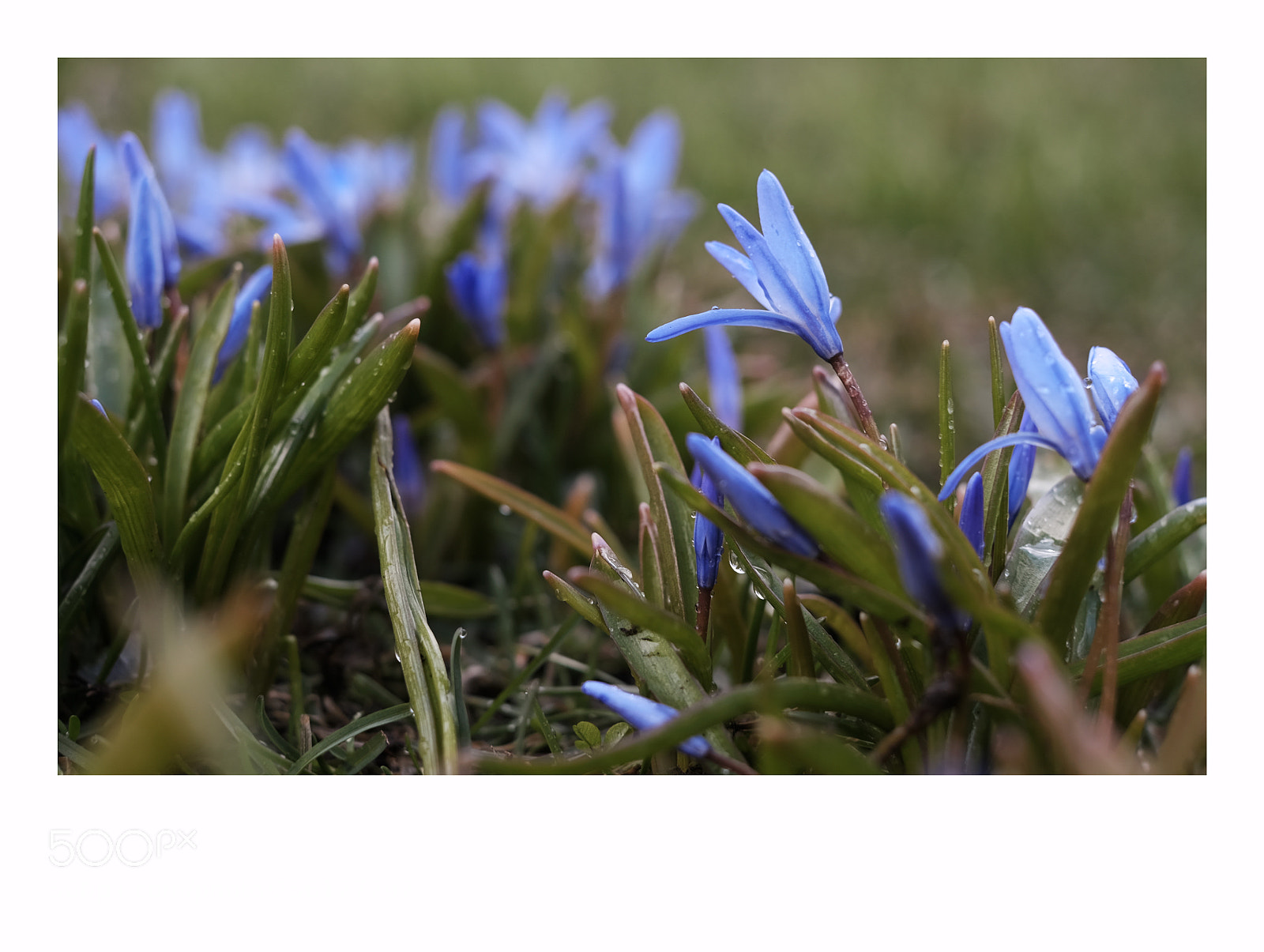 Fujifilm X-T1 sample photo. Dscf photography