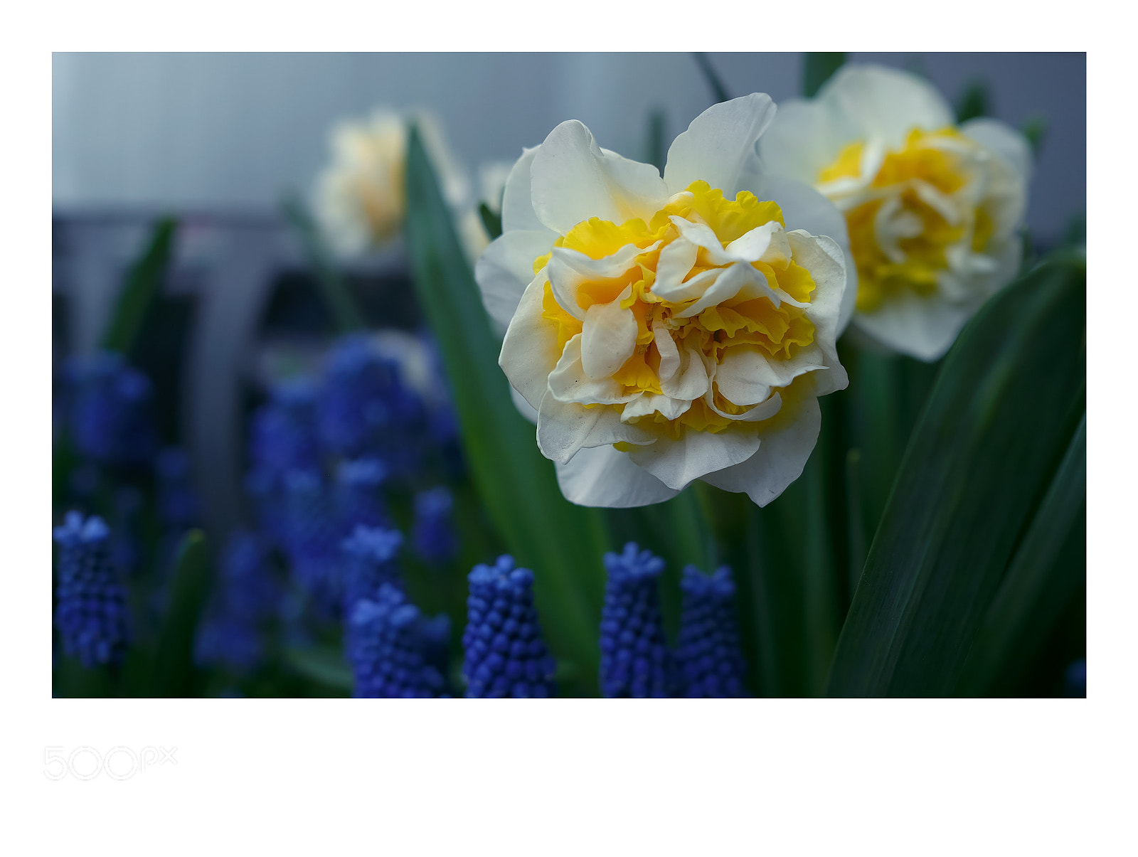 Fujifilm X-T1 sample photo. Helsinki photography