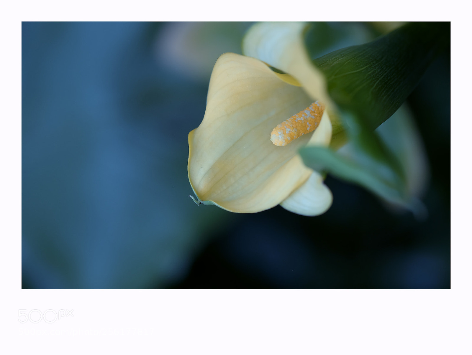 Fujifilm X-T1 sample photo. Helsinki photography
