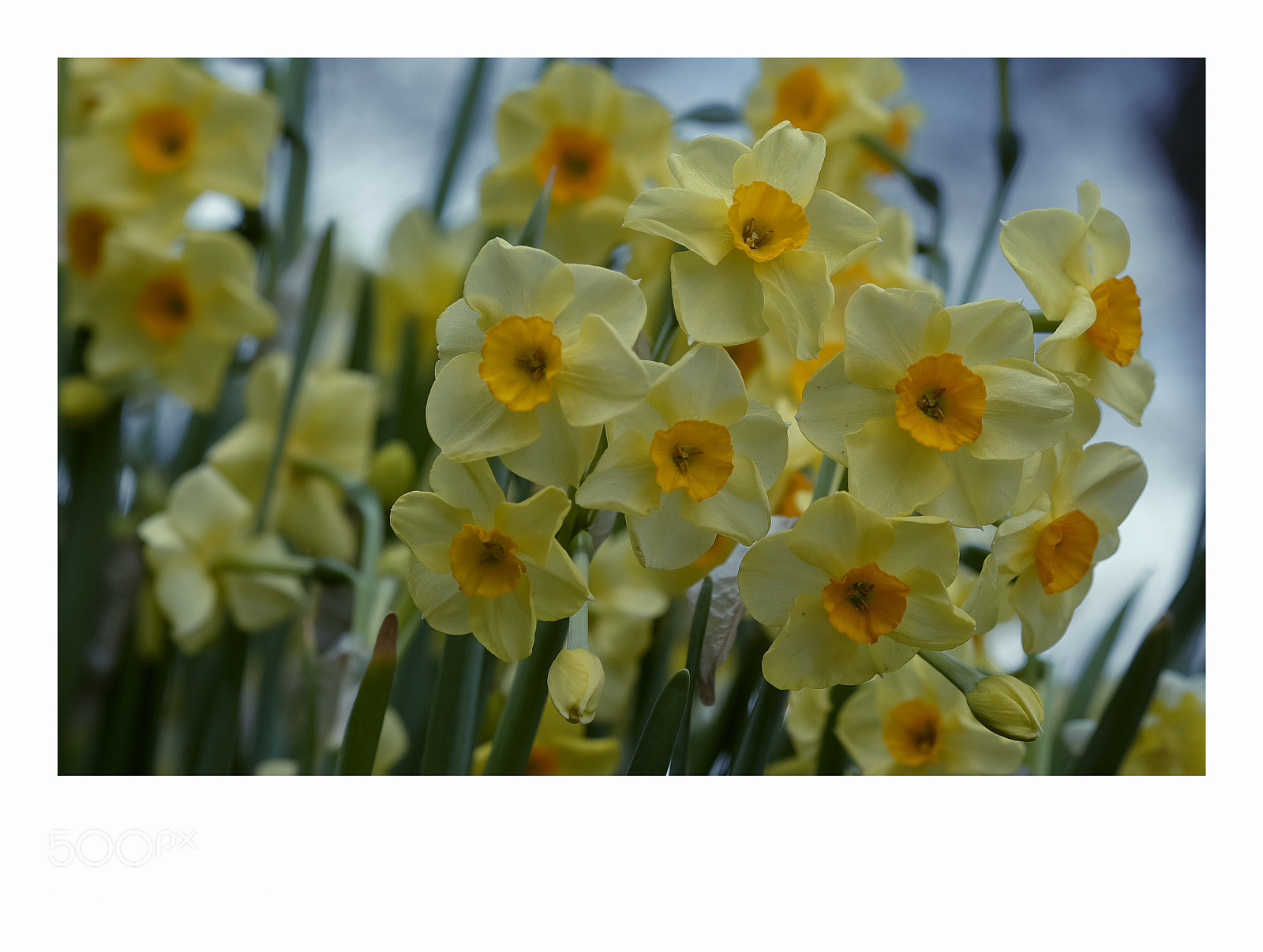 Fujifilm X-T1 sample photo. Helsinki photography