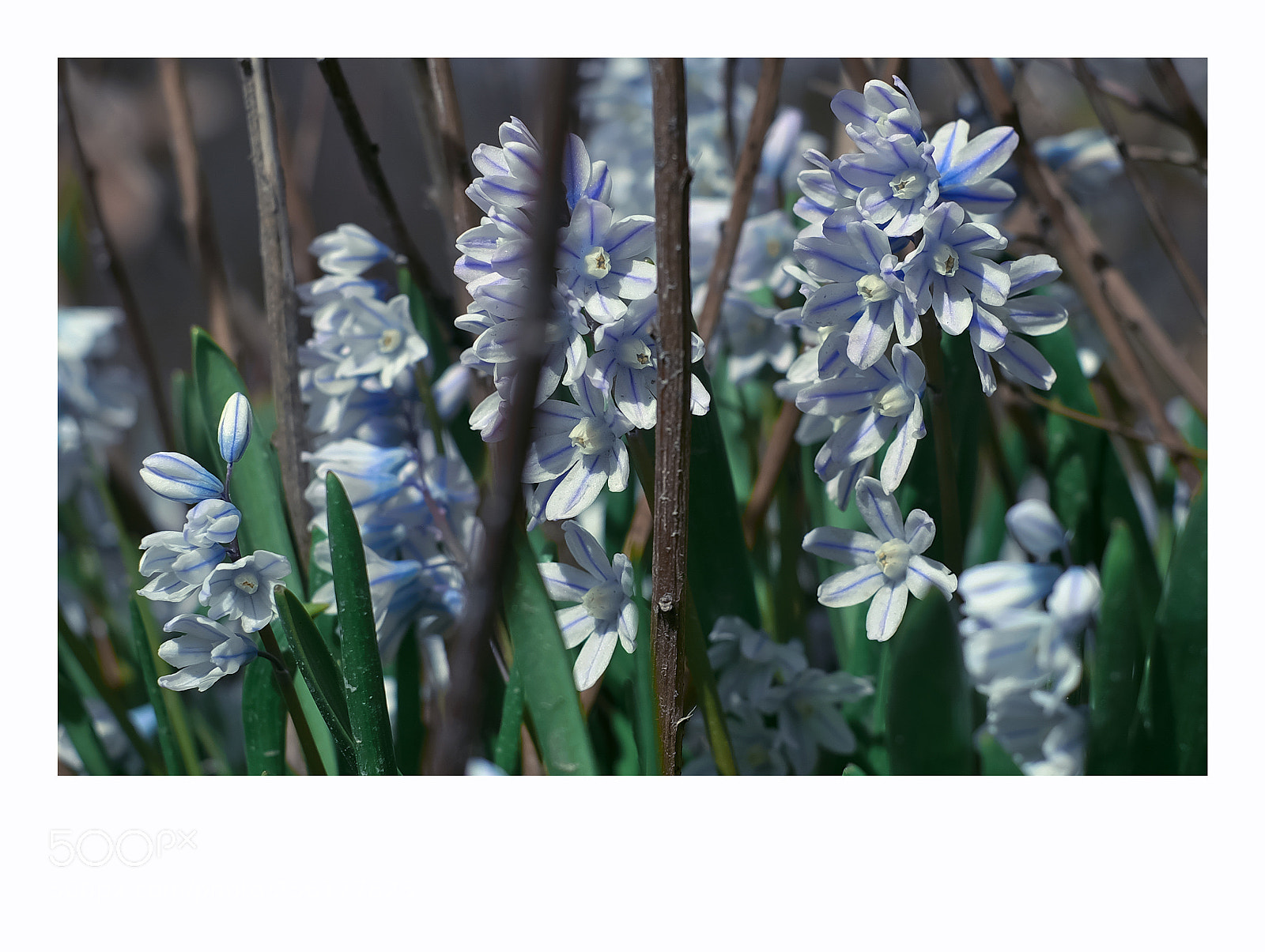 Fujifilm X-T1 sample photo. Helsinki photography
