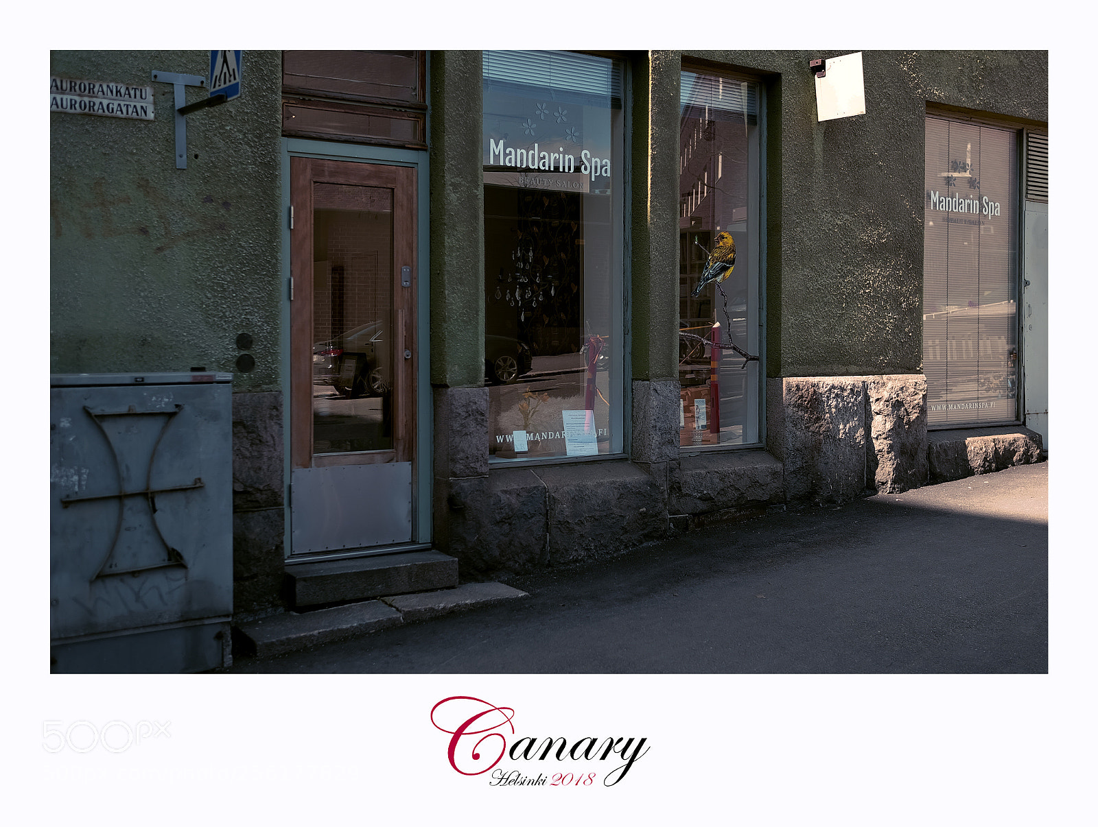 Fujifilm X-T1 sample photo. Canary photography
