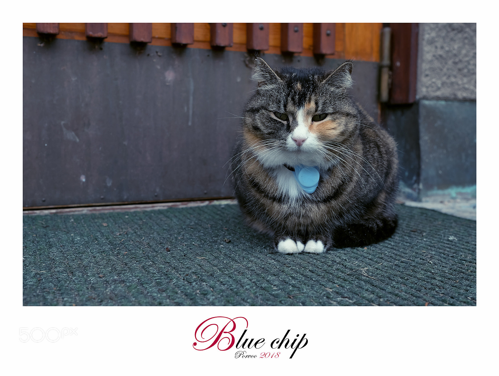Fujifilm X-T1 sample photo. Blue chip photography