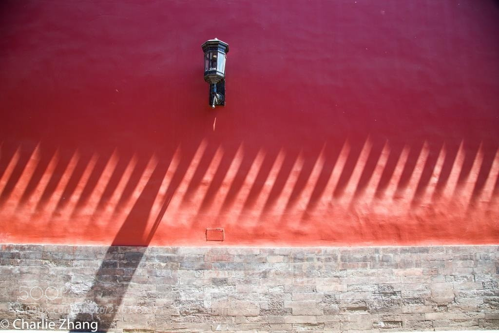 Canon EOS-1D X sample photo. Untitled photography