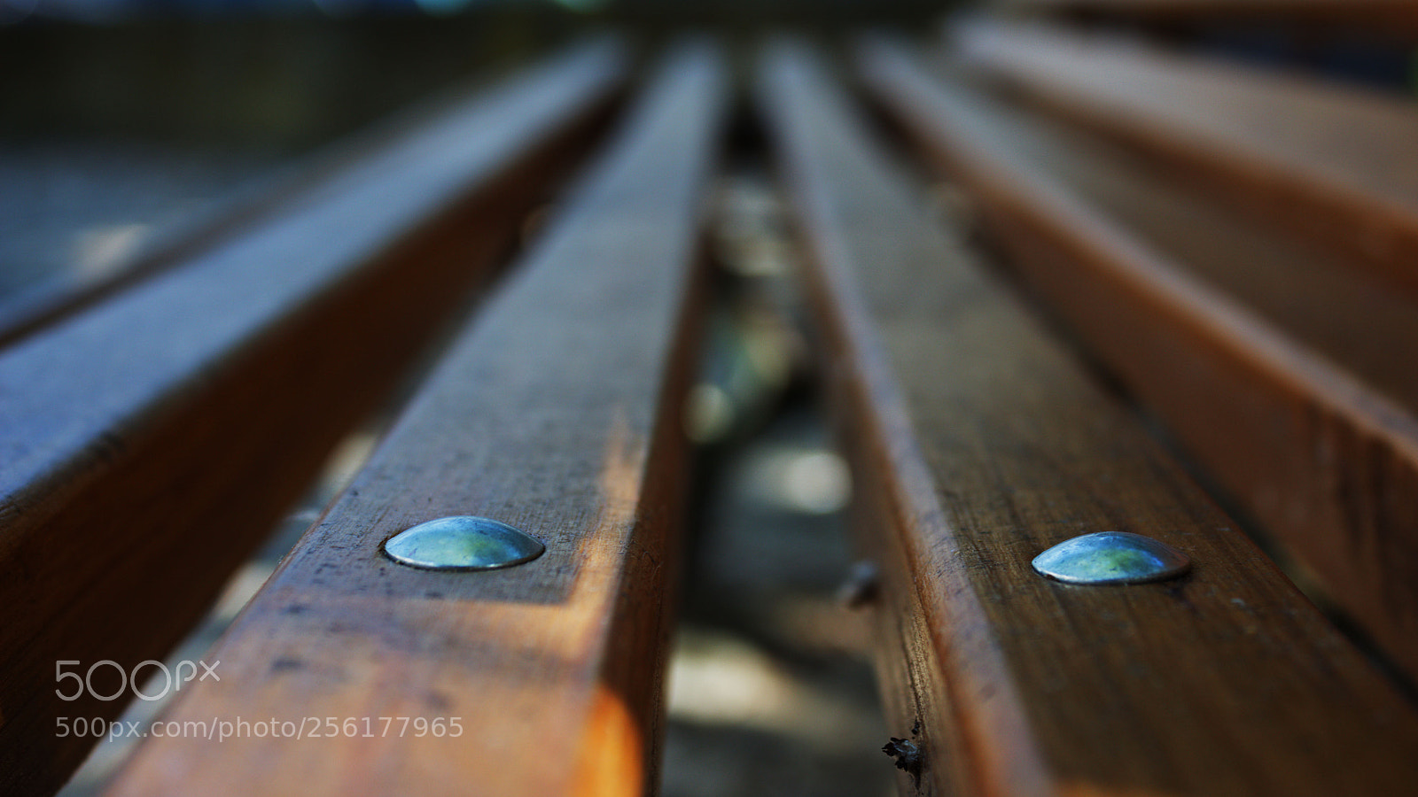 Canon EOS 1300D (EOS Rebel T6 / EOS Kiss X80) sample photo. Chair photography