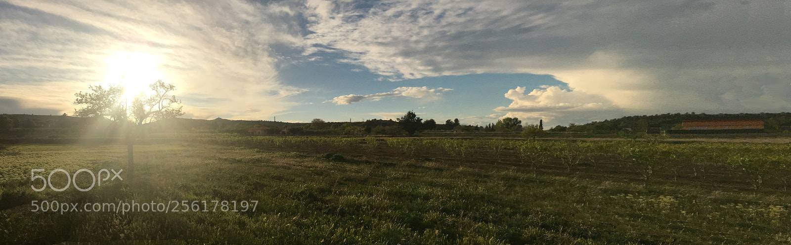 Apple iPhone 6s Plus sample photo. Panoramica huerta de ayora photography