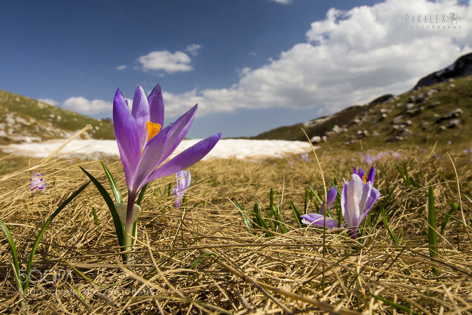 Canon EOS 6D sample photo. Mountain tenderness ii photography