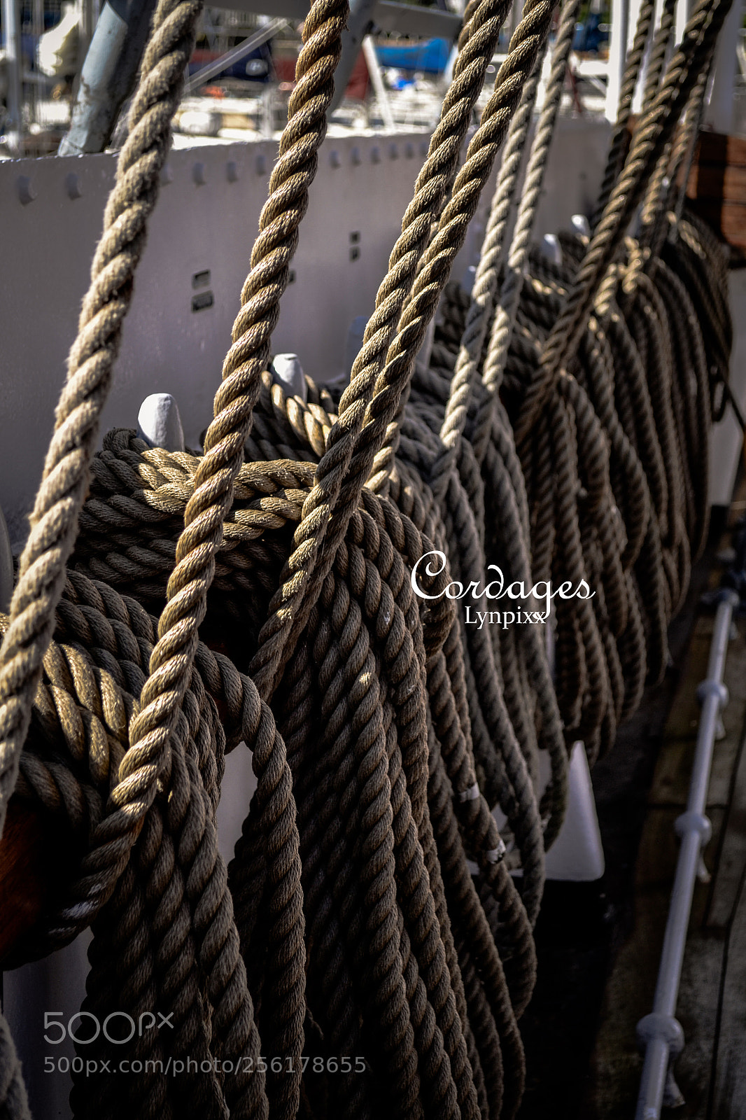 Nikon D3100 sample photo. Cordages photography