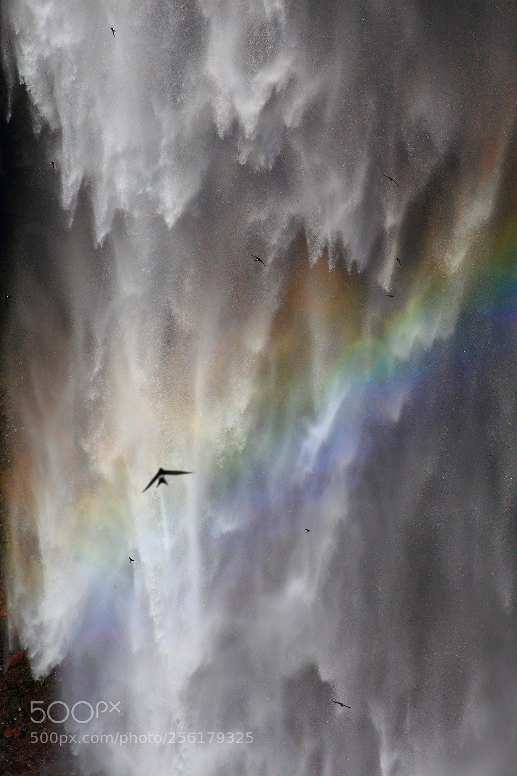 Canon EOS 6D sample photo. Rainbow shower photography