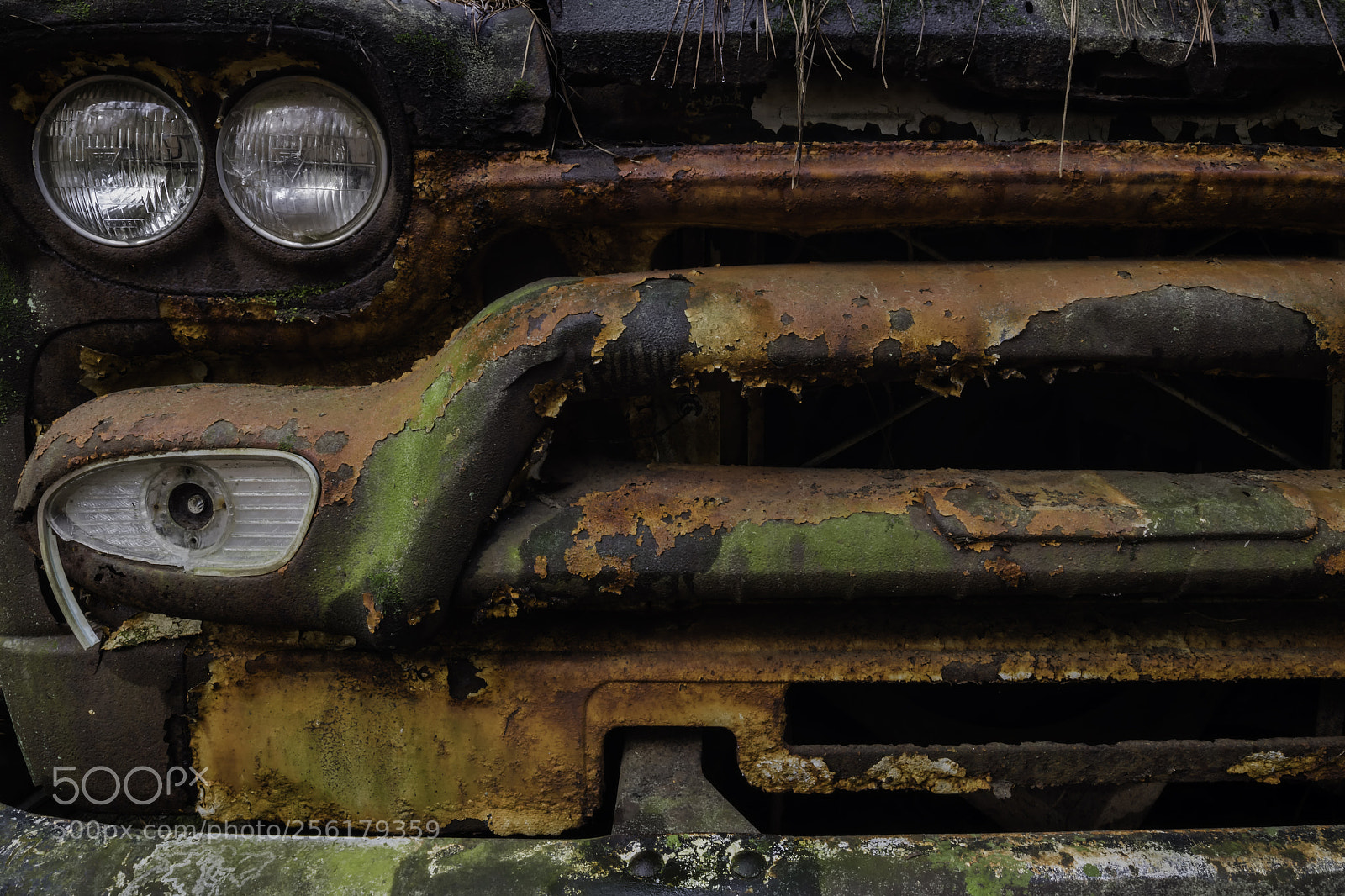 Nikon D850 sample photo. This old bus... photography