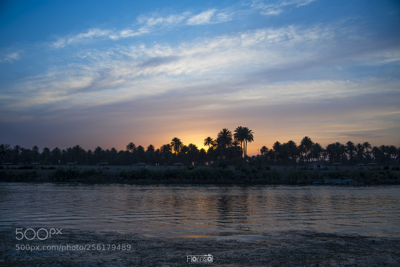 Nikon D750 sample photo. Untitled photography